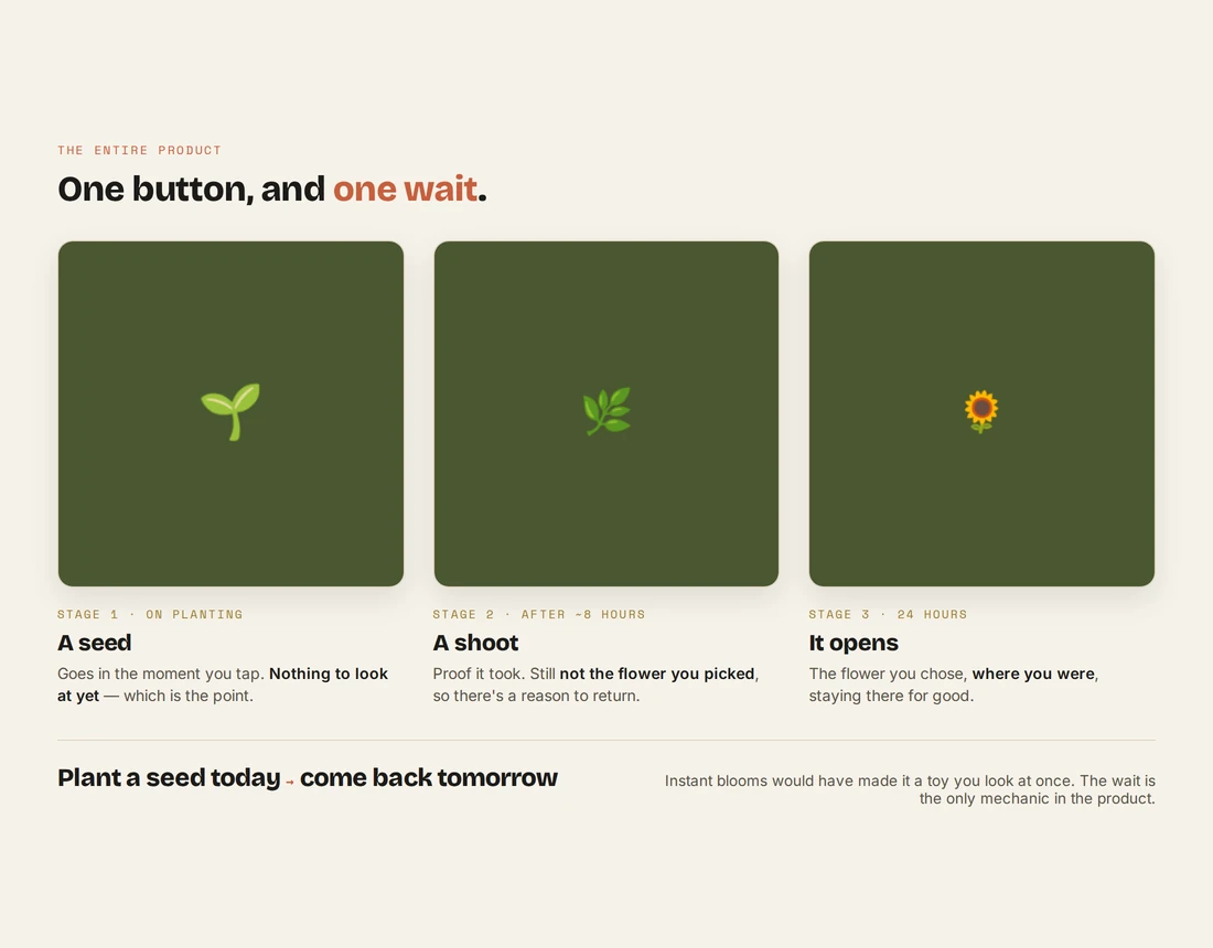The three growth stages: seed, shoot, and open flower